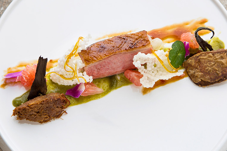 Boerderijeend met groene koolcrème