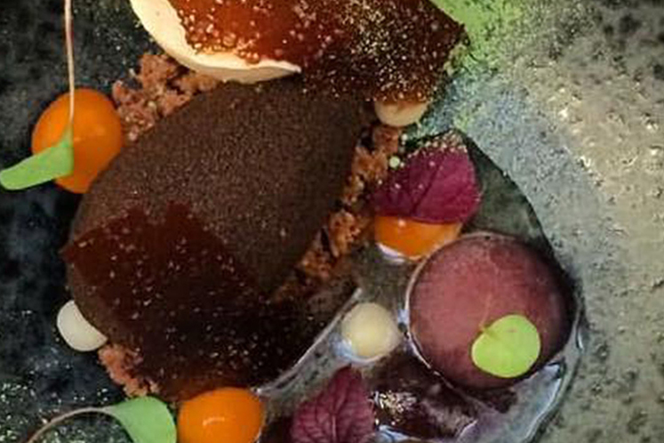 Dessert van pure chocolade met dennennaald