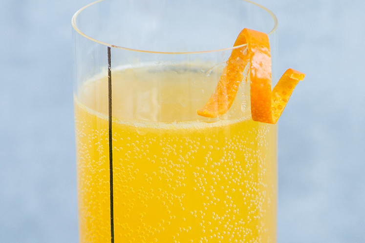 Mimosa by Tess Posthumus