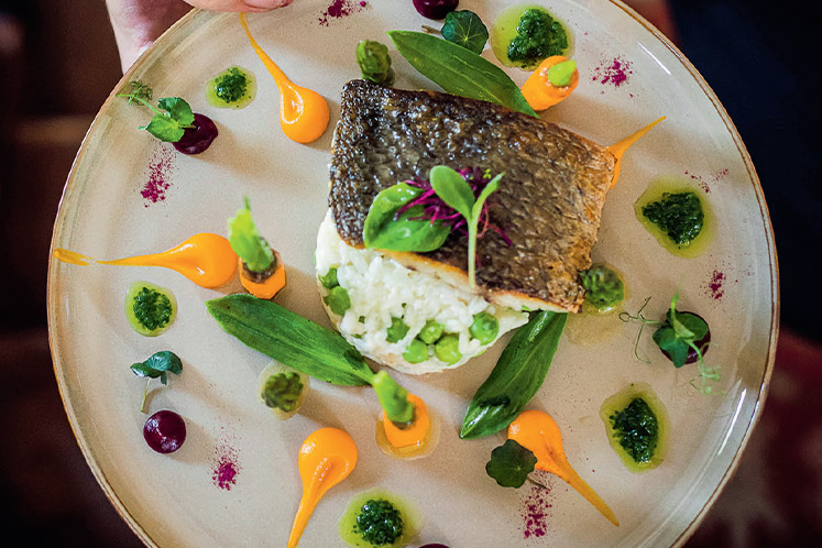 Krokant gebakken harder met risotto en bospeencrème