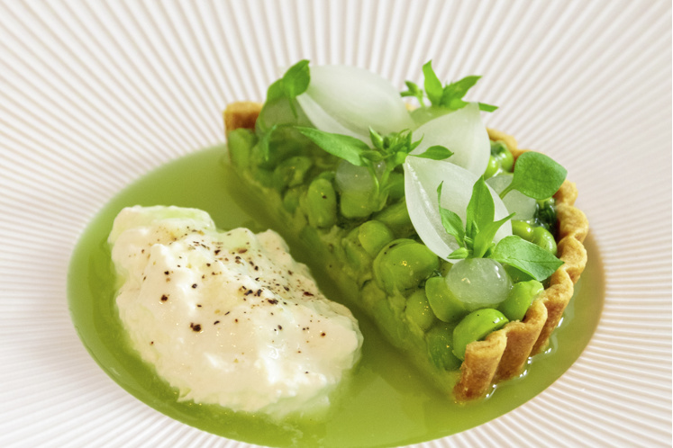 Green pea & burrata tartelette