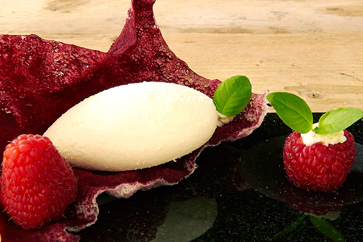 Cracker rood fruit en hibiscus