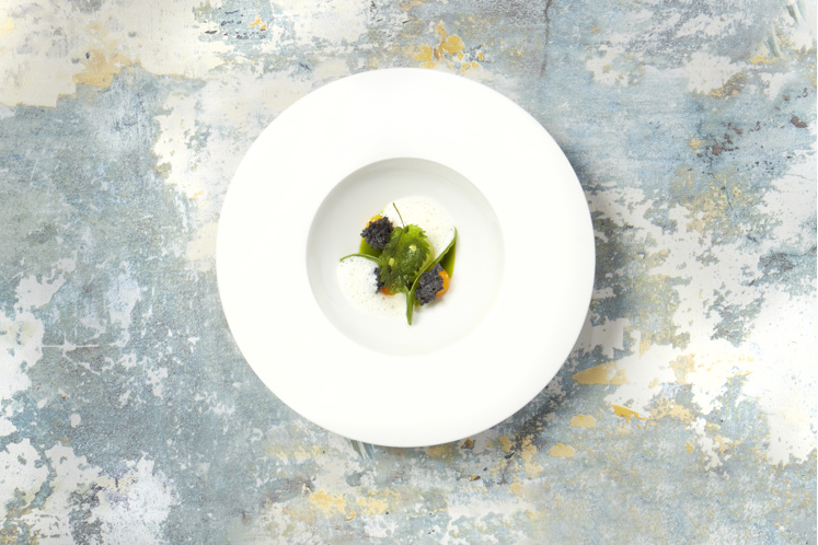 Amuse van kropsla, brandnetel en gerookte eidooier