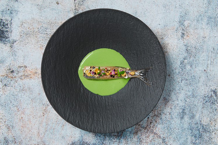 Haring met kropsla, avocado en appel