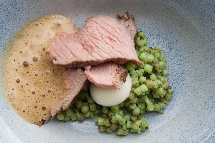 Kalfsstaartstuk met saus van morilles