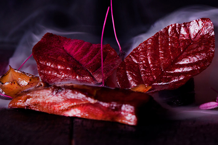Blaadjes van kers en rode biet