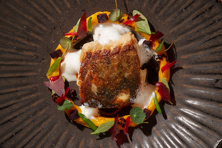 Heekfilet, met bospeen en gebrande mosterd