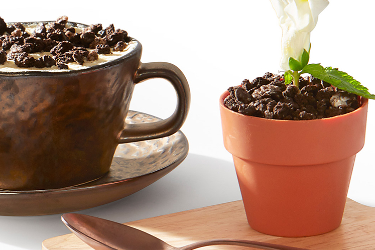 Earth and Fire Coffee & Bloempotje