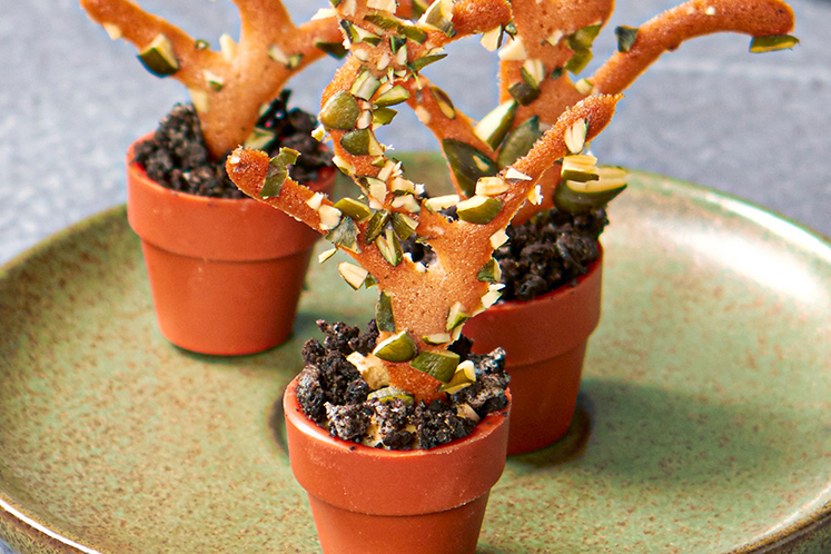 Eetbare koffie bloempotjes