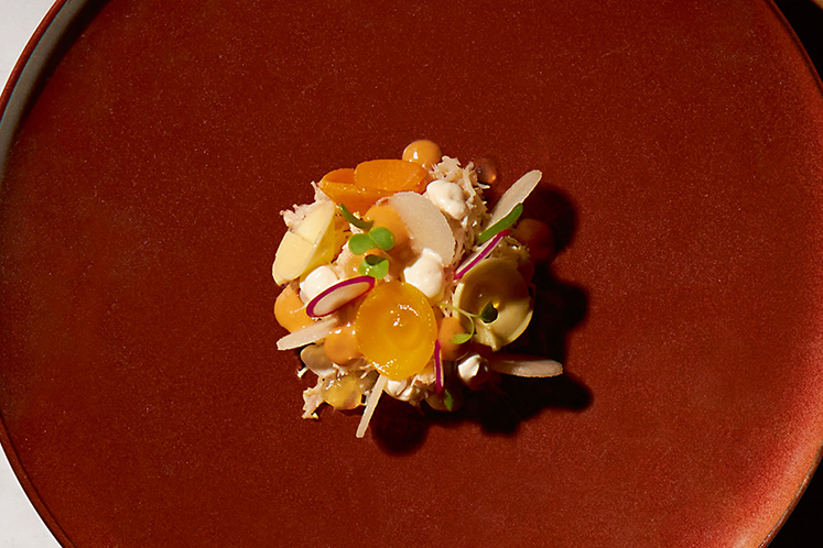 Noordzeekrab met appel, hangop, wortel en garnalenjus