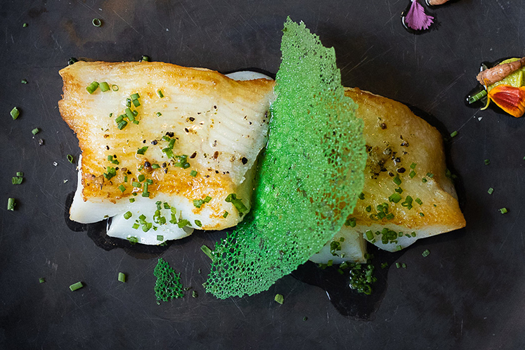 Heilbot met avocadopesto en Hollandse garnalen