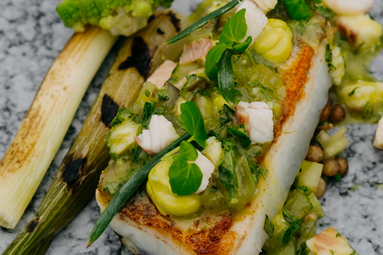 Snoekbaars uit de Kagerplassen