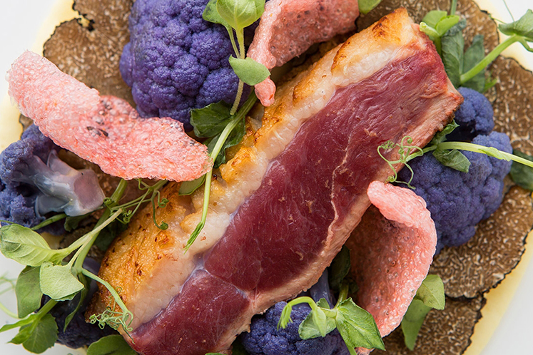 Boerderijeend in dropjus