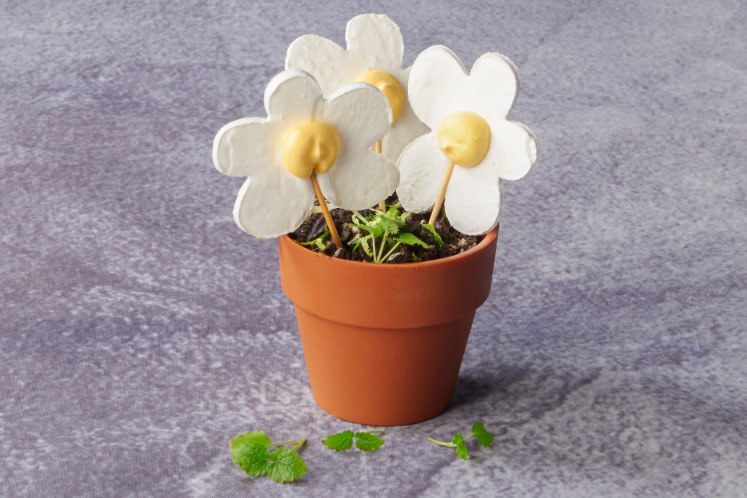 Bloempotje gevuld met mousse van witte chocoladebloemetjes