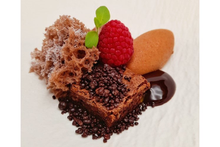 Chocoladedessert Frozen Elements