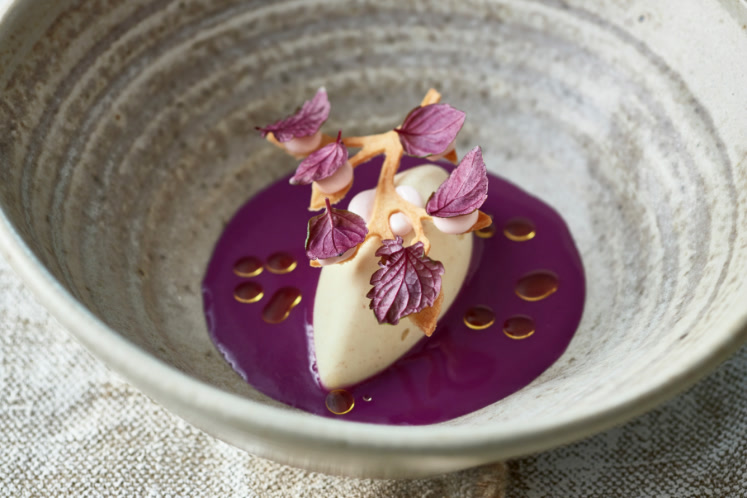 Rode kool gazpacho met mosterdijs en shiso