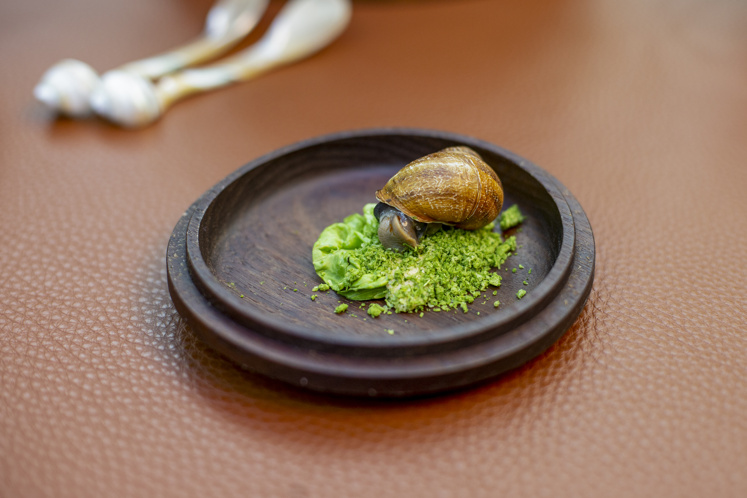 Mondvermaakje: Slakje