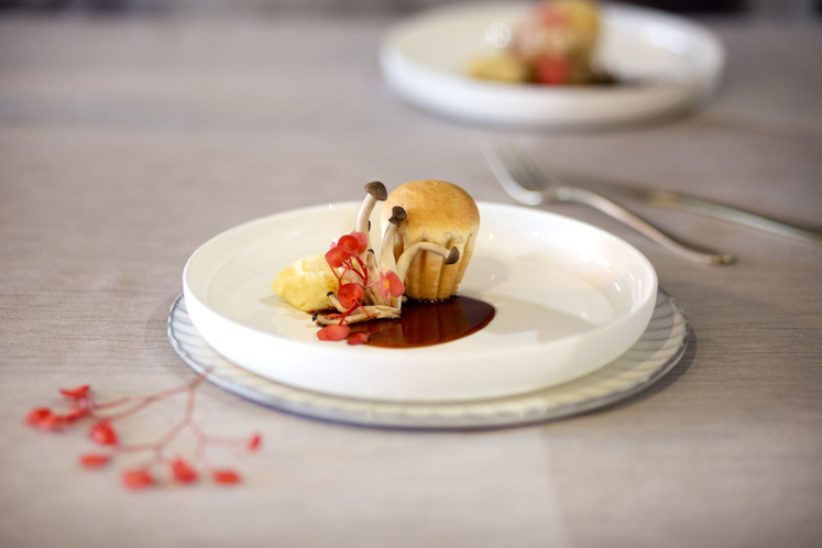 Rillettes van hert, brioche, knolselderij en beukenzwam