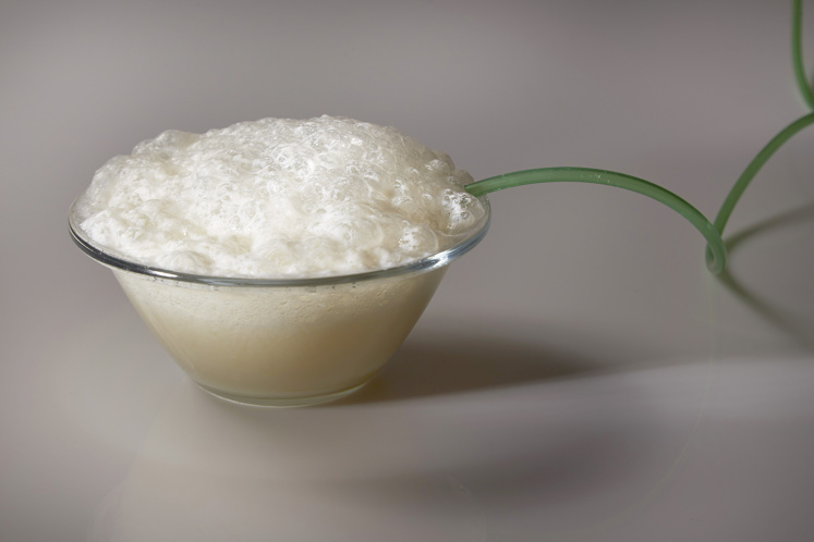 Schuim van vanille en yoghurt