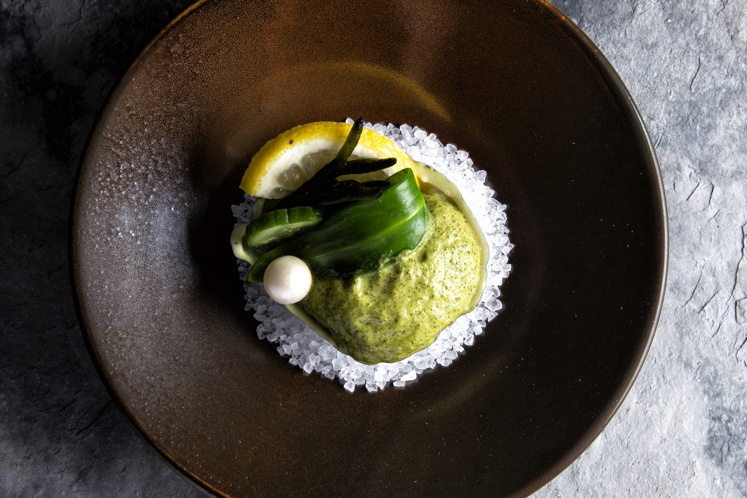 Vers uit de Noordzee