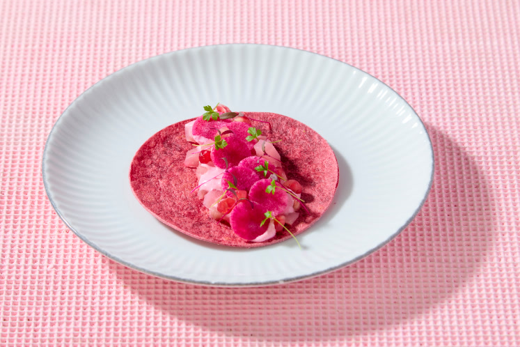 Tortilla van biet met roze burrata