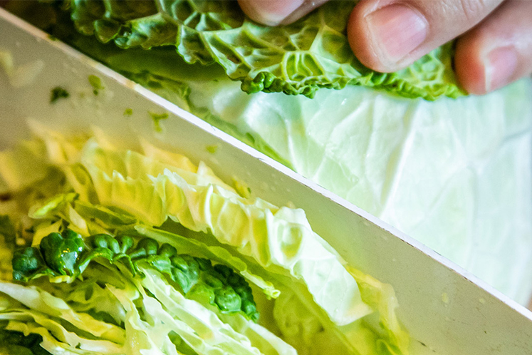 Gefermenteerde witte kool