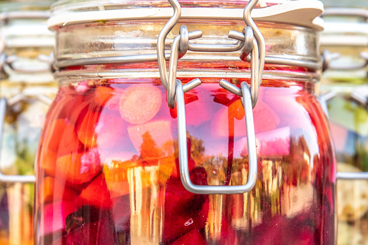 Gefermenteerde wortel