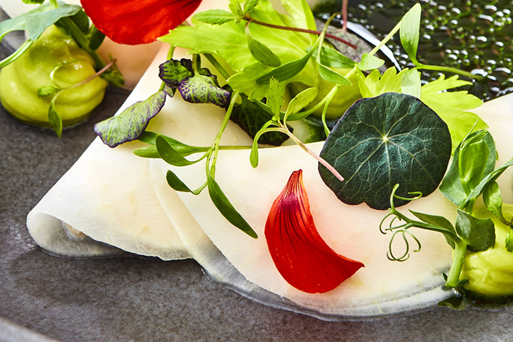 Koolrabi met visvrije tonijn, avocado, groene appel en lavas