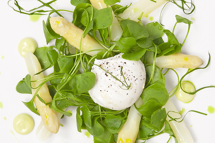 Salade van asperge met pourpier